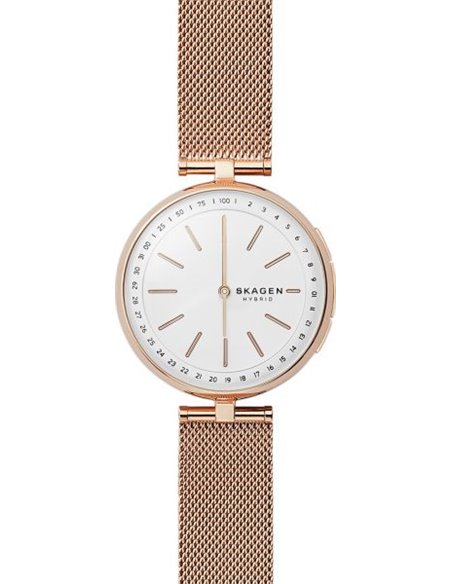 Smartwatch Skagen SIGNATUR SKT1404