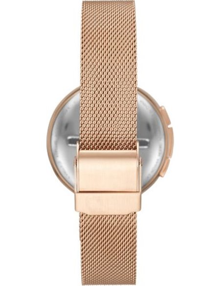 Smartwatch Skagen SIGNATUR SKT1404