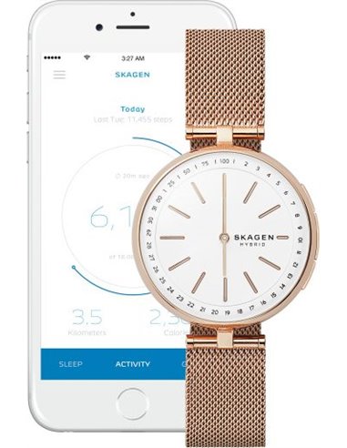 Smartwatch Skagen SIGNATUR SKT1404