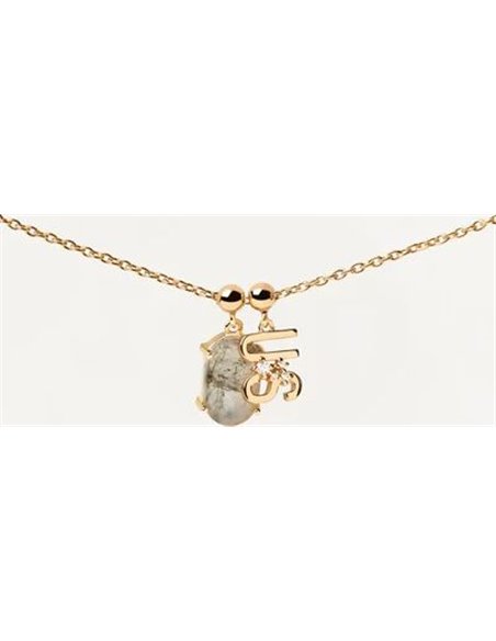 Charm P de Paola US CH01-032-U