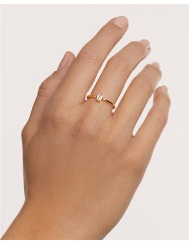 Anillo P de Paola MIA
