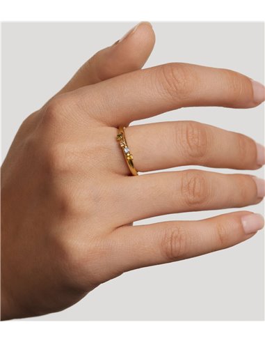 Anillo P de Paola Rainbow Wing AN01-C10-12