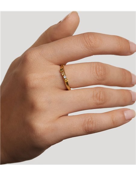 Anillo P de Paola Rainbow Wing AN01-C10-12