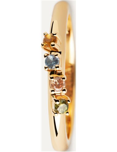 Anillo P de Paola Rainbow Wing AN01-C10-12
