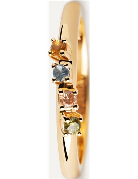 Anillo P de Paola Rainbow Wing AN01-C10-12